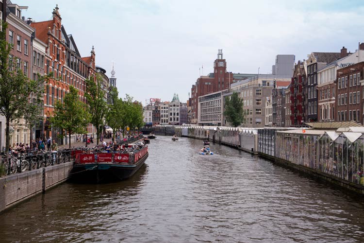 Der Blumenmarkt in Amsterdam Der Blumenmarkt in Amsterdam