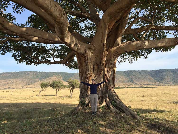 Frühstück unter dem Feigenbaum in der Maasai Mara Frühstück unter dem Feigenbaum in der Maasai Mara