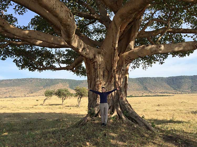 Frühstück unter dem Feigenbaum in der Maasai Mara