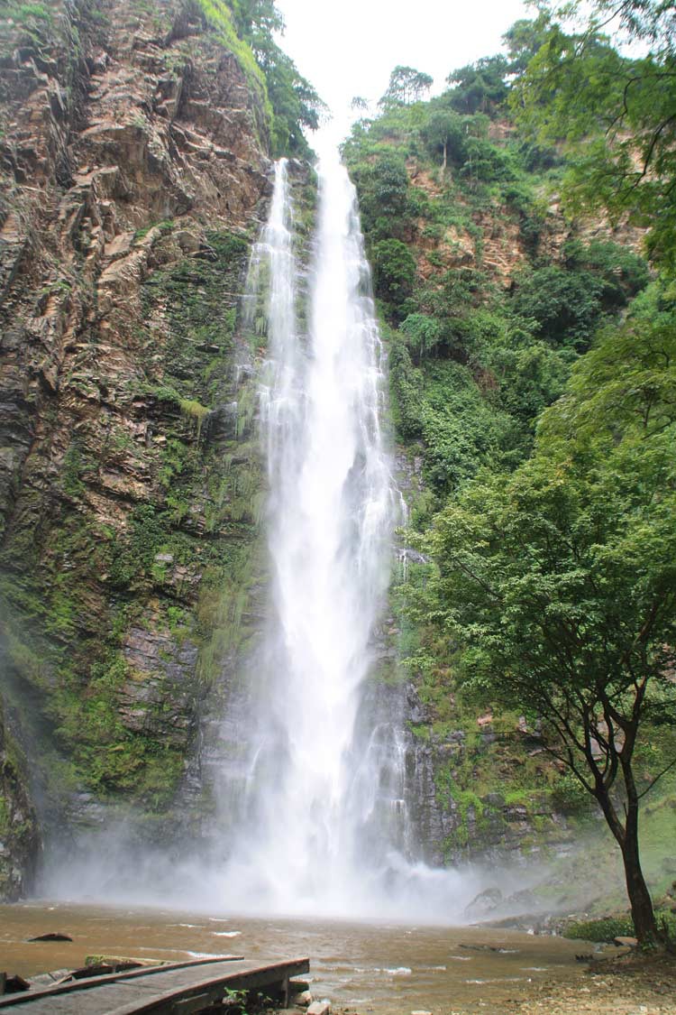 Die Wli Falls in Ghana