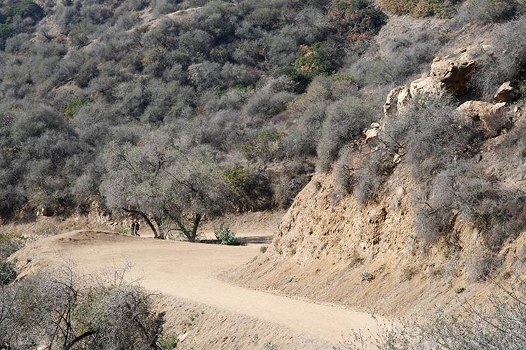 Mitten im Griffith Park von Los Angeles Mitten im Griffith Park von Los Angeles