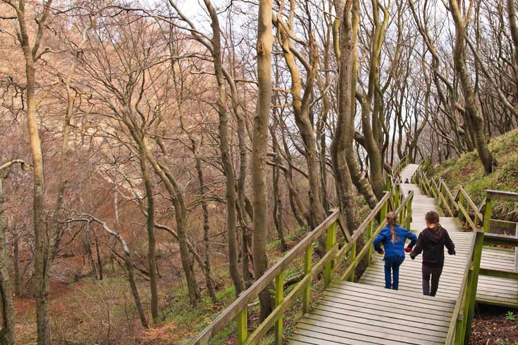 Treppe hinab zu den Kreidefelsen