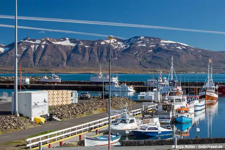 Der Hafen der Stadt Dalvik in den Nordfjorden von Island.