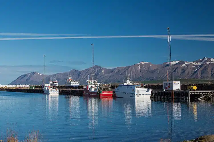 Der Hafen der Stadt Dalvik in den Nordfjorden.
