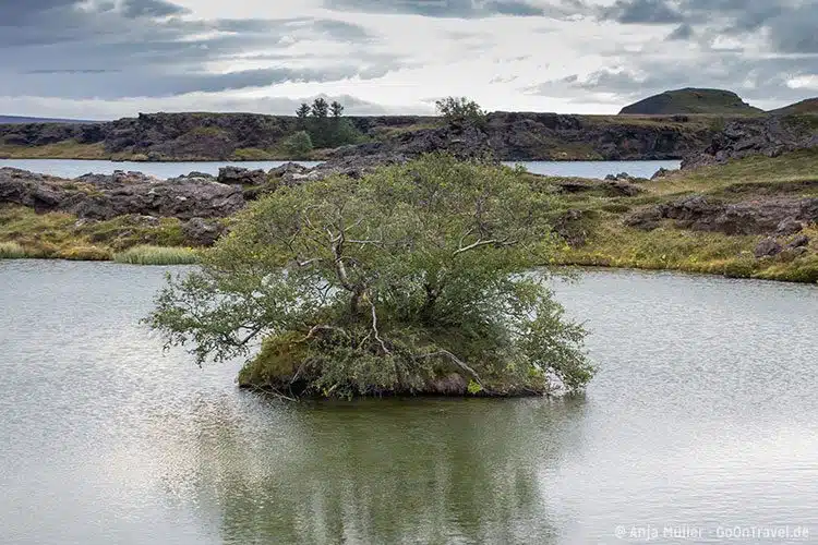 Der See Myvatn Der See Myvatn