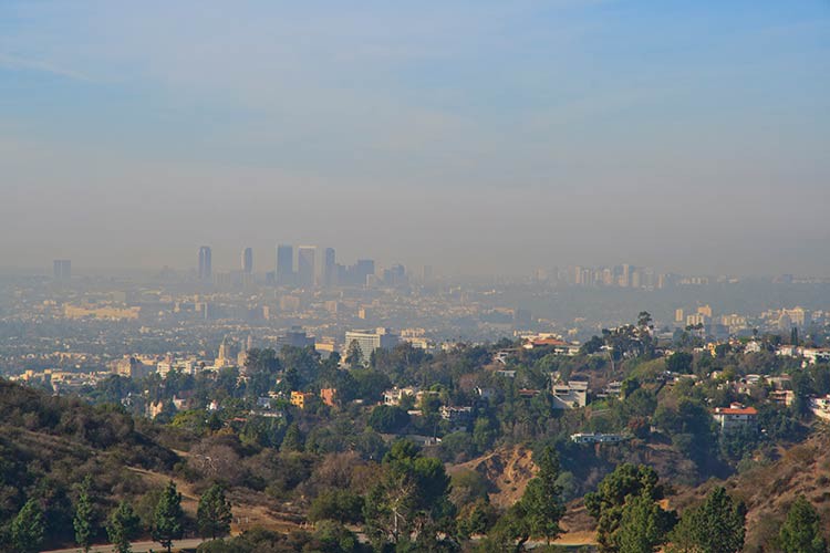 Blick auf Los Angeles vom Griffith Park aus Blick auf Los Angeles vom Griffith Park aus