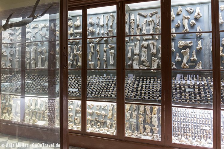 Das Museum bei Dalam Cave mit vielen fossilen Fundstücken Das Museum bei Dalam Cave mit vielen fossilen Fundstücken