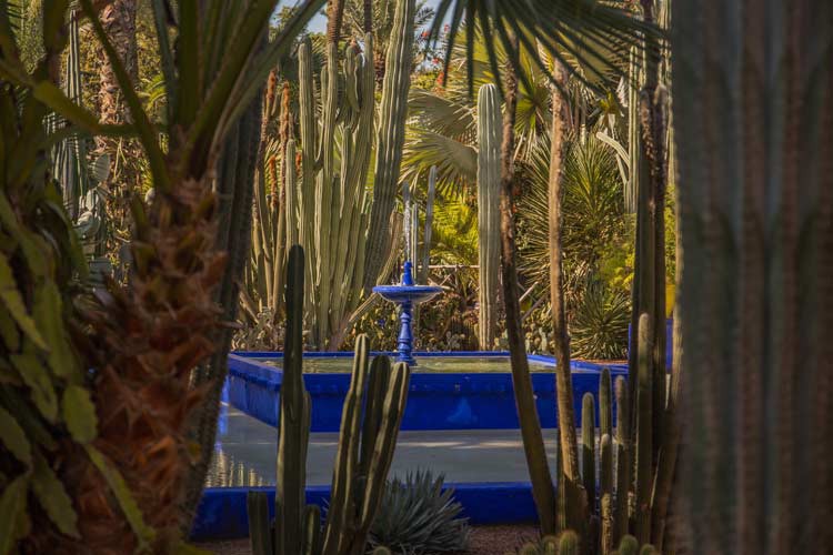 Der Jardin Majorelle – Botanischer Garten in Marrakesch