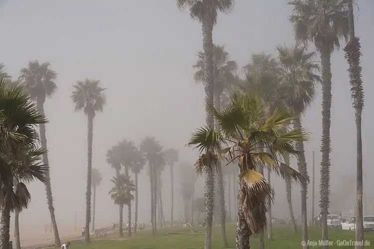 Ein faszinierendes Naturschauspiel - Nebel am Strand Ein faszinierendes Naturschauspiel - Nebel am Strand
