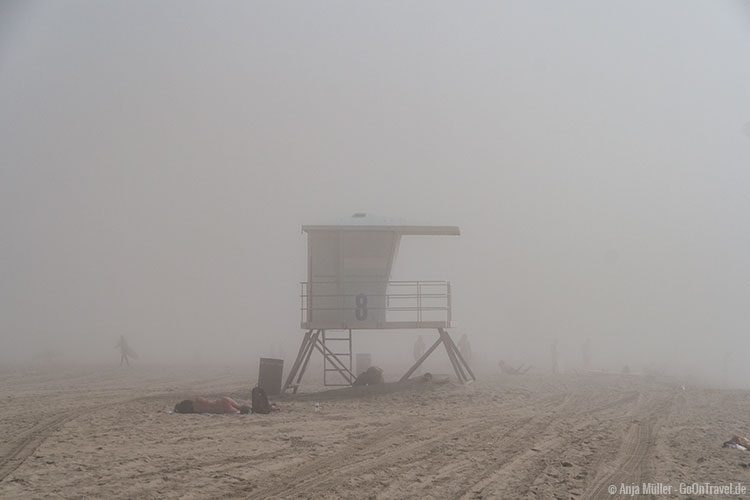 Sonnen im Nebel, macht das Sinn?