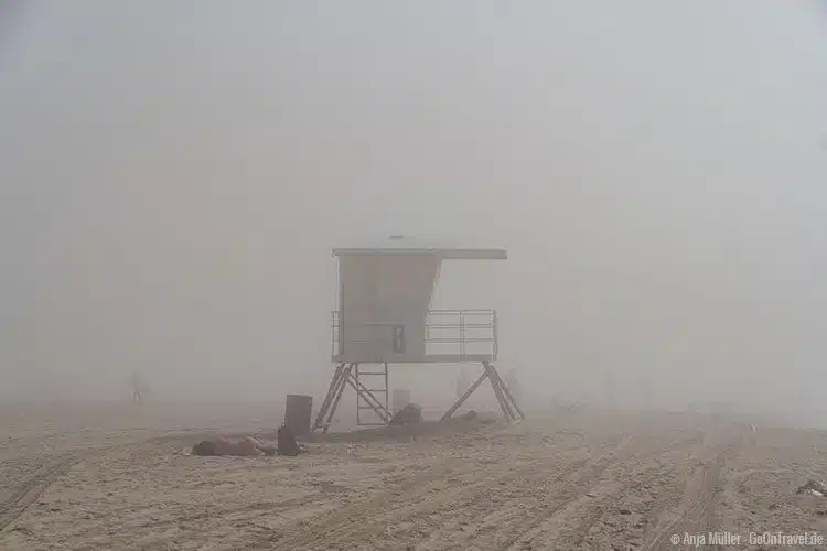 Sonnen im Nebel, macht das Sinn? Sonnen im Nebel, macht das Sinn?