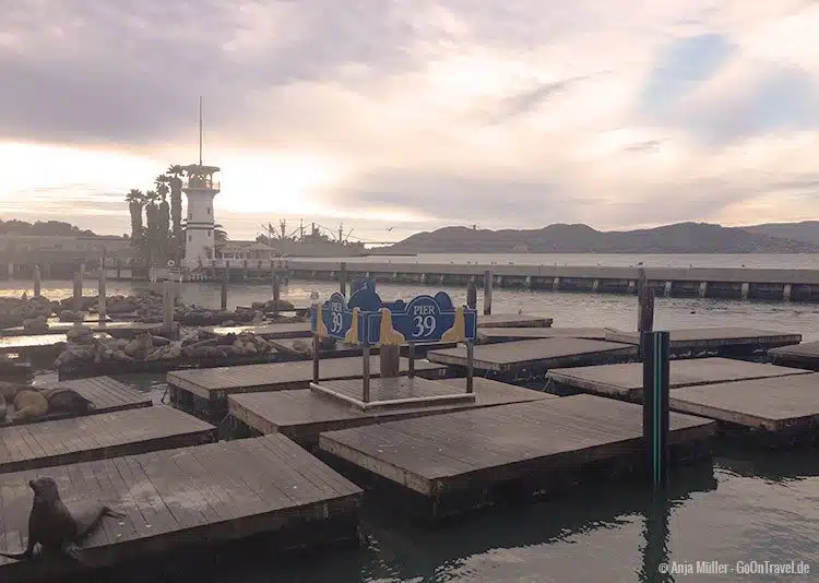 Am Pier 39 in San Francisco Am Pier 39 in San Francisco