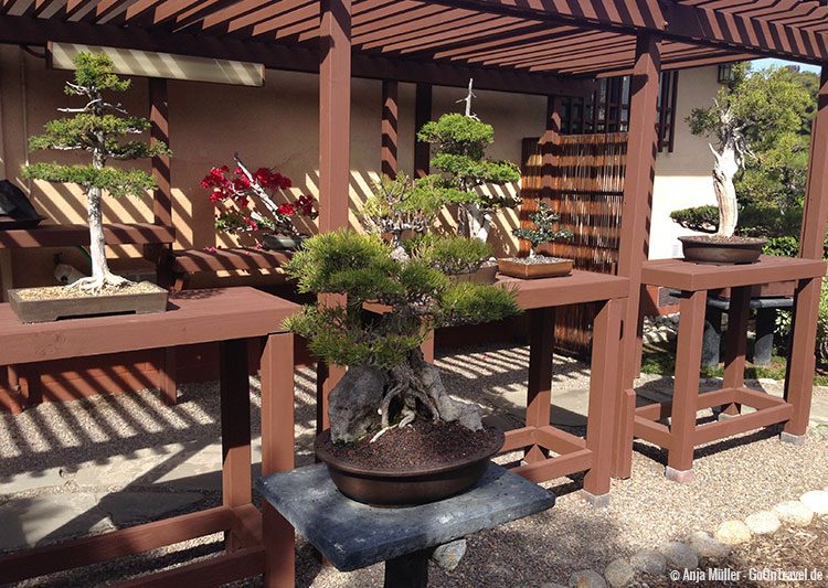 Japanischer Garten im Balboa Park