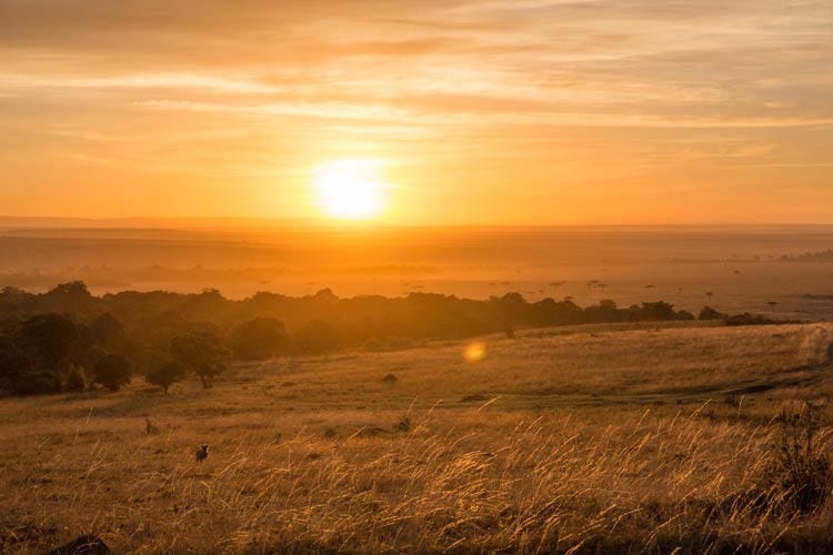 Sonnenaufgang in der Maasai Mara Sonnenaufgang in der Maasai Mara
