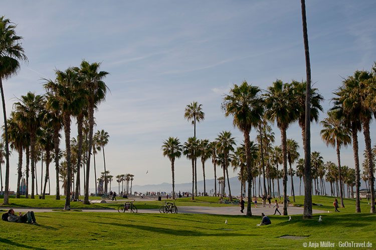 Am Strand von Venice Beach Am Strand von Venice Beach