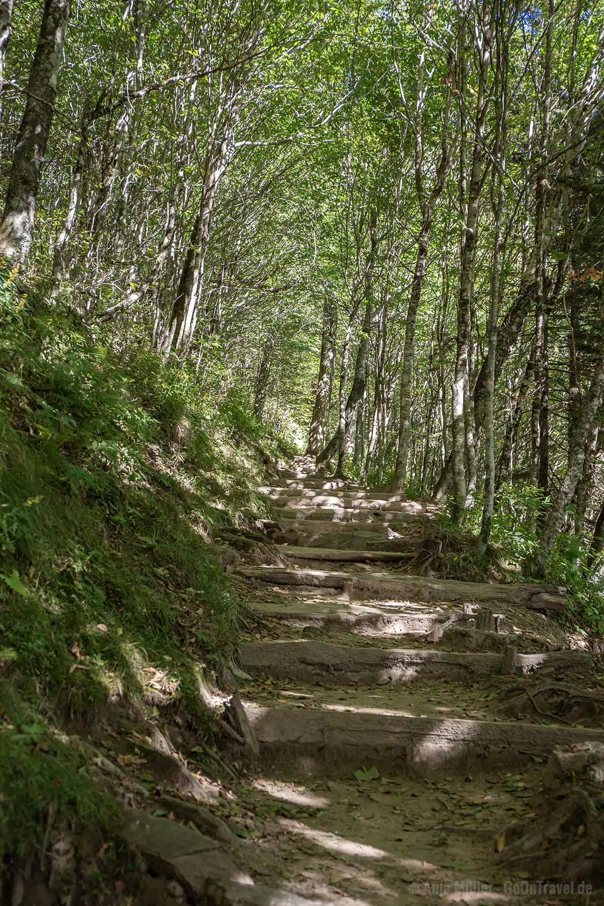 Teil des berühmten Appalachian Trail Teil des berühmten Appalachian Trail