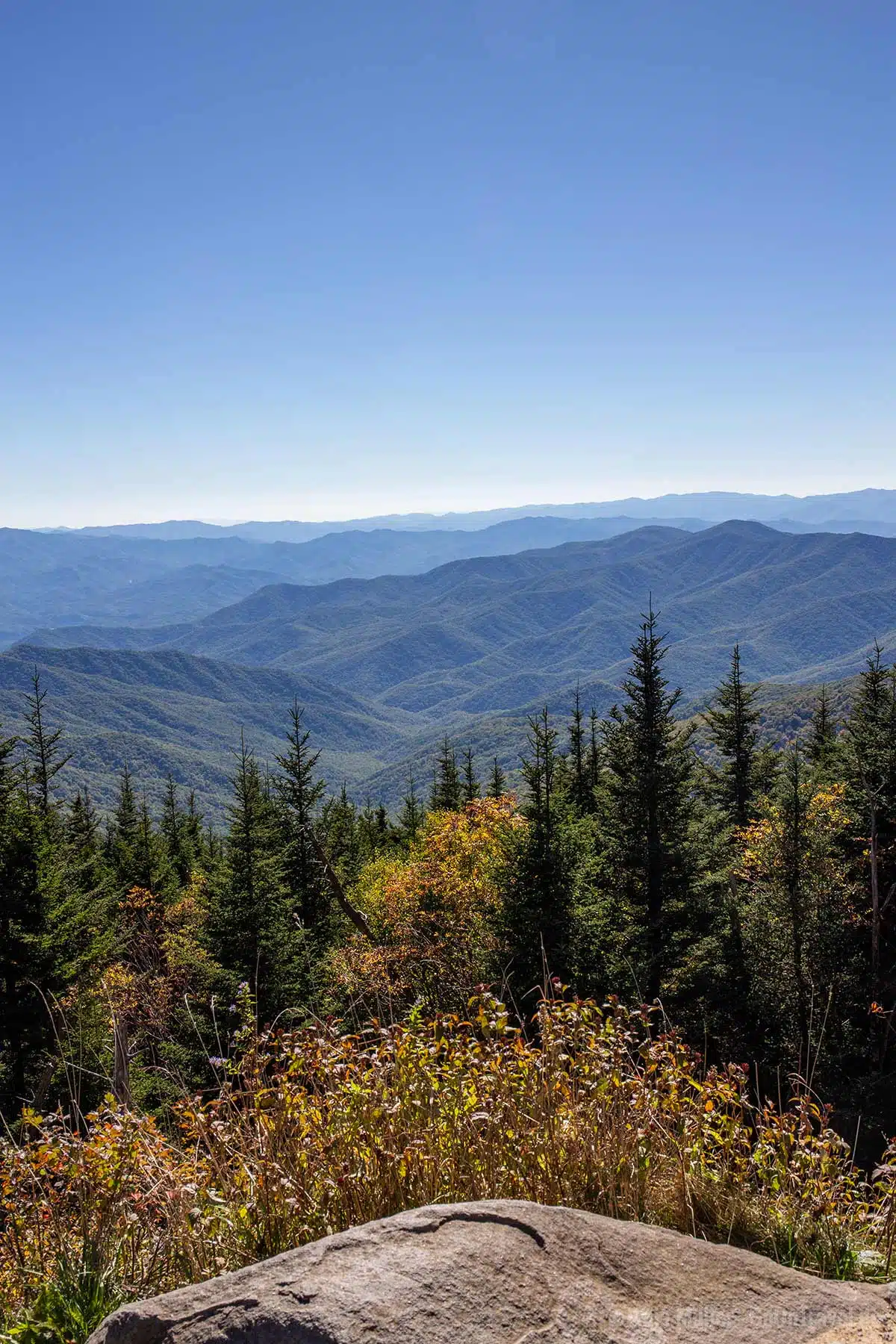 Aussicht vom Parkplatz am Clingmans Dome Aussicht vom Parkplatz am Clingmans Dome