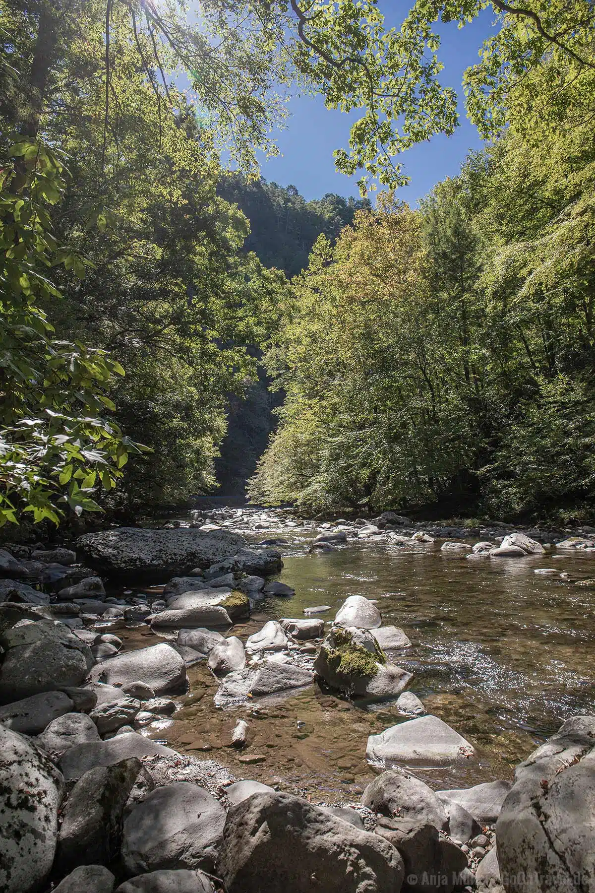 Little River in den Great Smoky Mountains