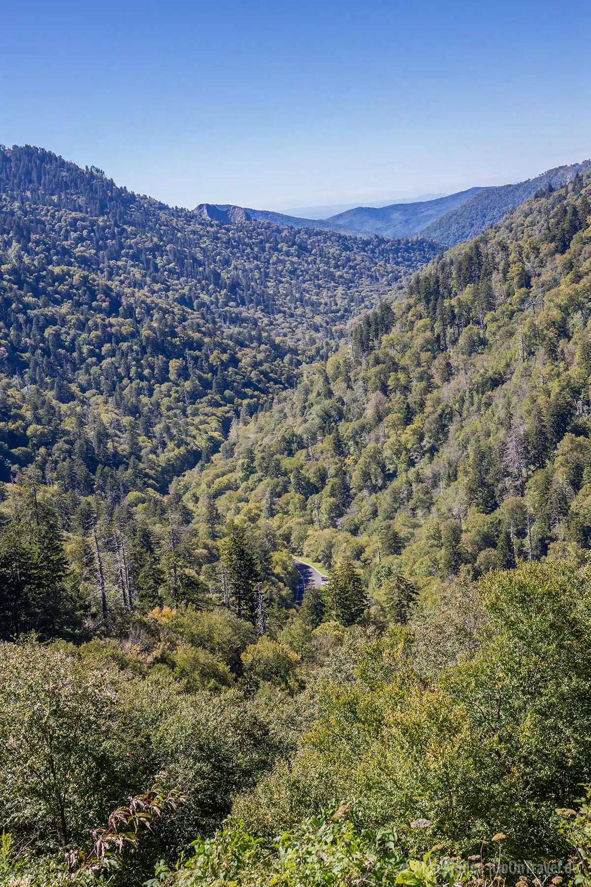 Aussichtspunkt an der Newfound Gap Aussichtspunkt an der Newfound Gap
