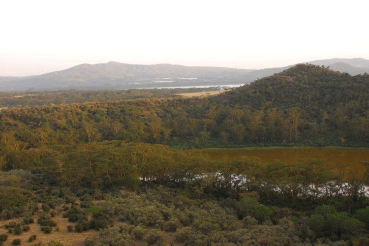 Green Crater Lake Naivasha Kenia