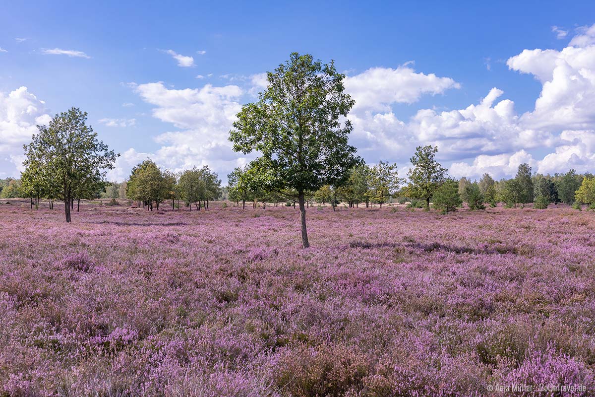 Naturpark Niederlausitzer Heidelandschaft Naturpark Niederlausitzer Heidelandschaft