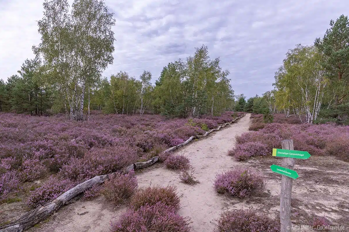Lieberoser Heide Lieberoser Heide