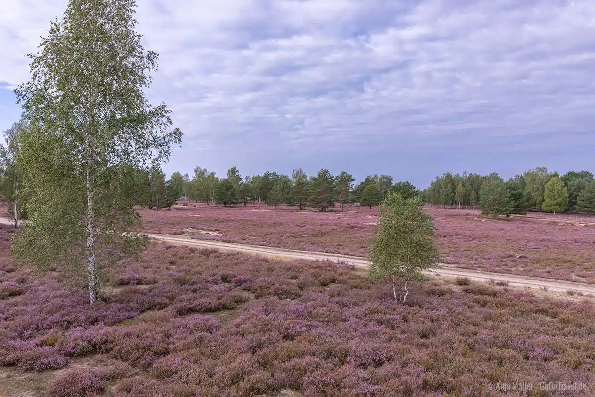 Blick auf die Reicherskreuzer Heide Blick auf die Reicherskreuzer Heide