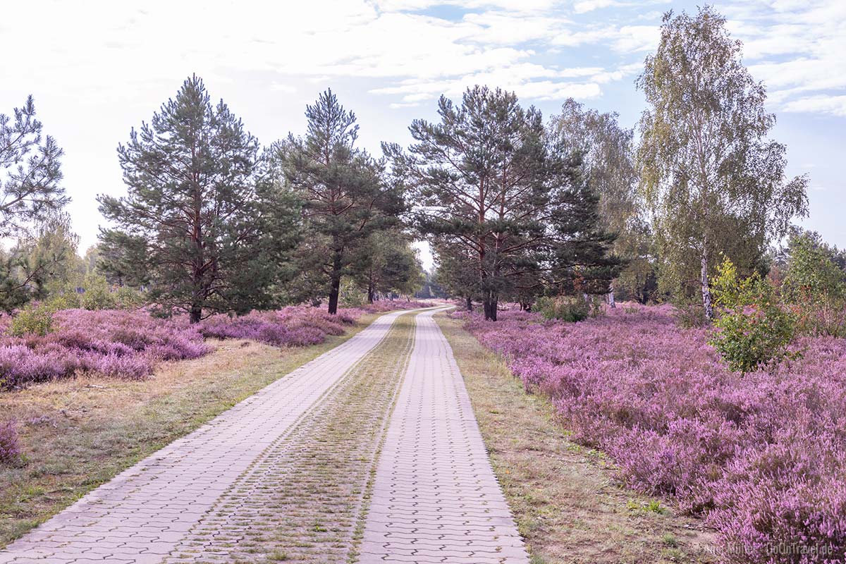 Weg durch den Naturpark Schlaubetal