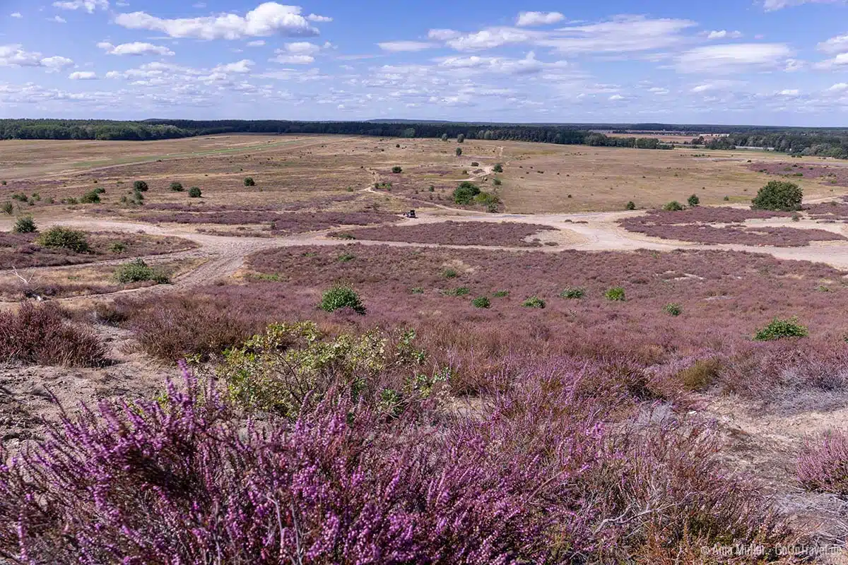Blick vom Saarmunder Berg Blick vom Saarmunder Berg