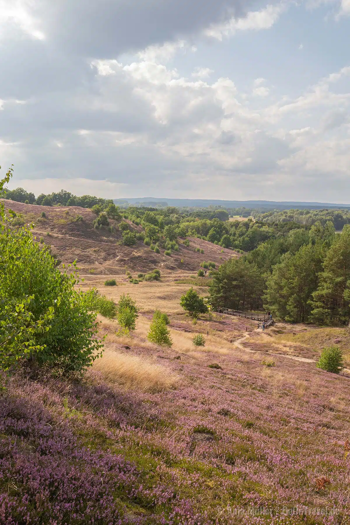 Diese Heide ist ein tolles Ausflugsziel in Polen Diese Heide ist ein tolles Ausflugsziel in Polen