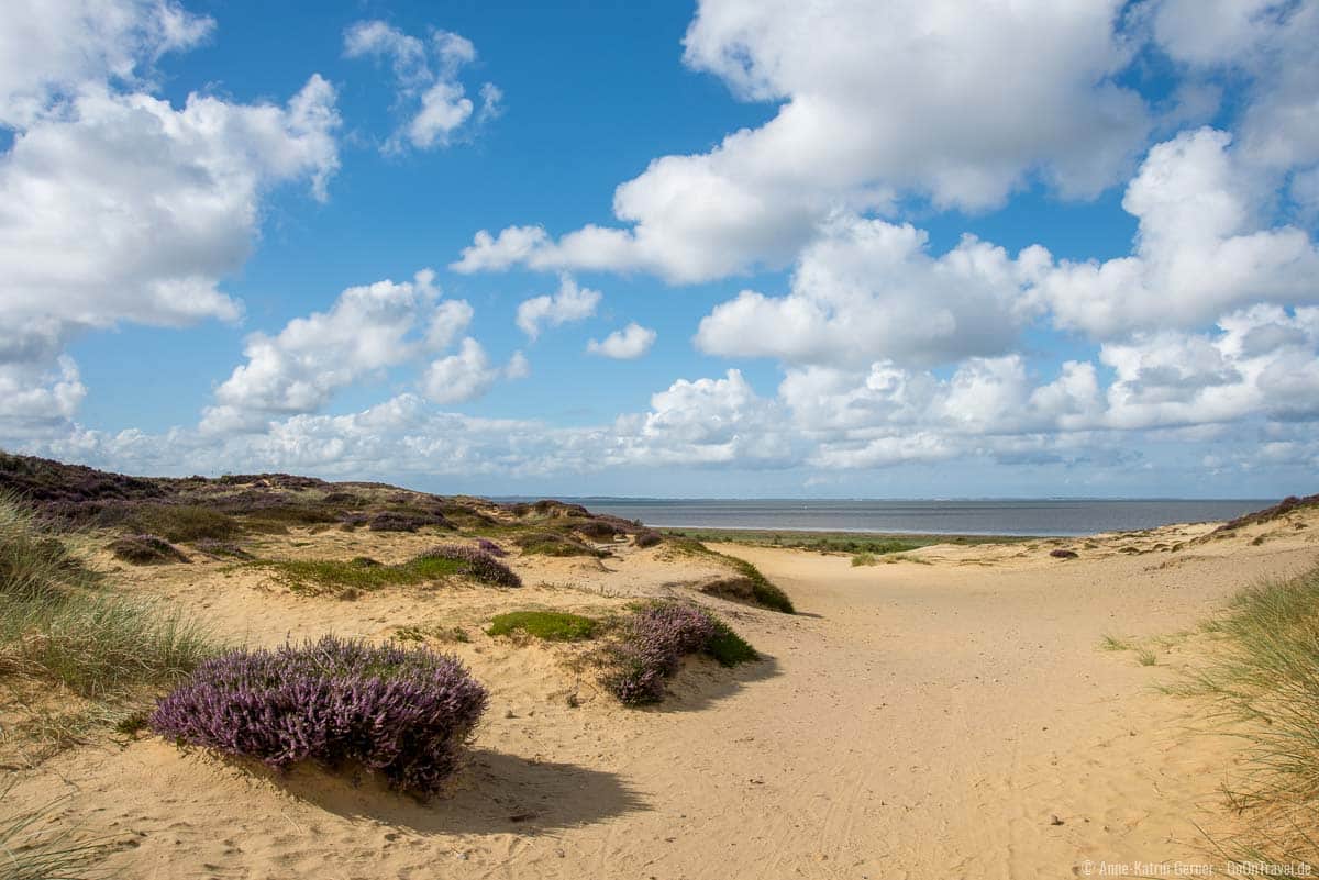Klein-Afrika am Morsum Kliff Klein-Afrika am Morsum Kliff