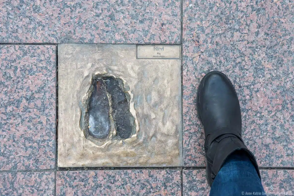 Fußabdruck von einem Elch mitten im Zentrum von Helsinki Fußabdruck von einem Elch mitten im Zentrum von Helsinki