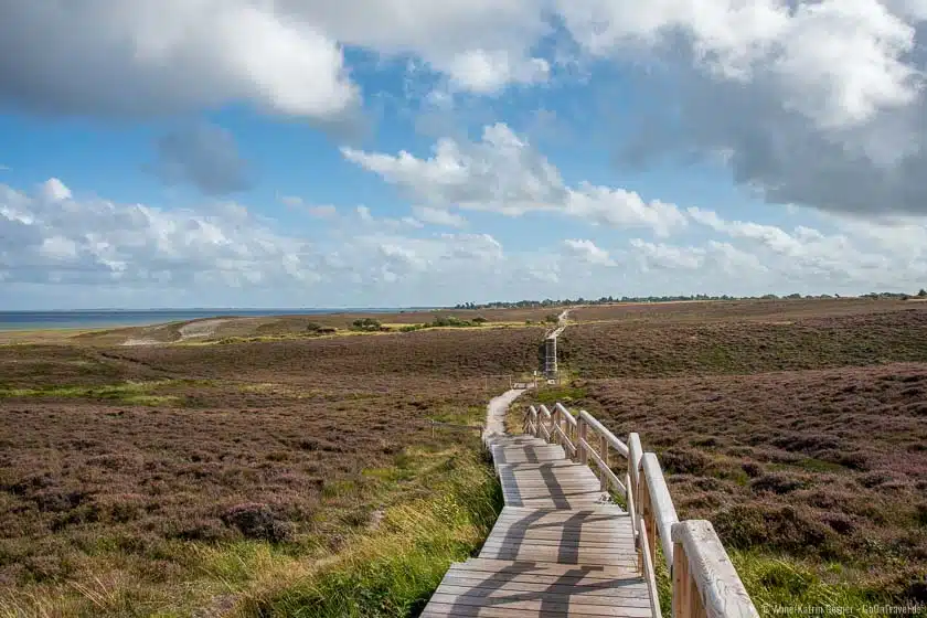 Wanderweg durch die Braderuper Heide Wanderweg durch die Braderuper Heide