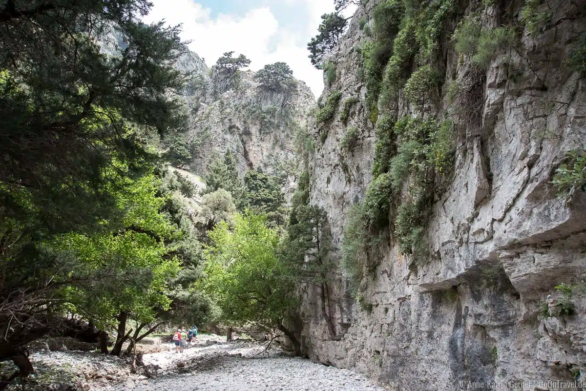 bewaldete Steilhänge in der Imbros-Schlucht bewaldete Steilhänge in der Imbros-Schlucht