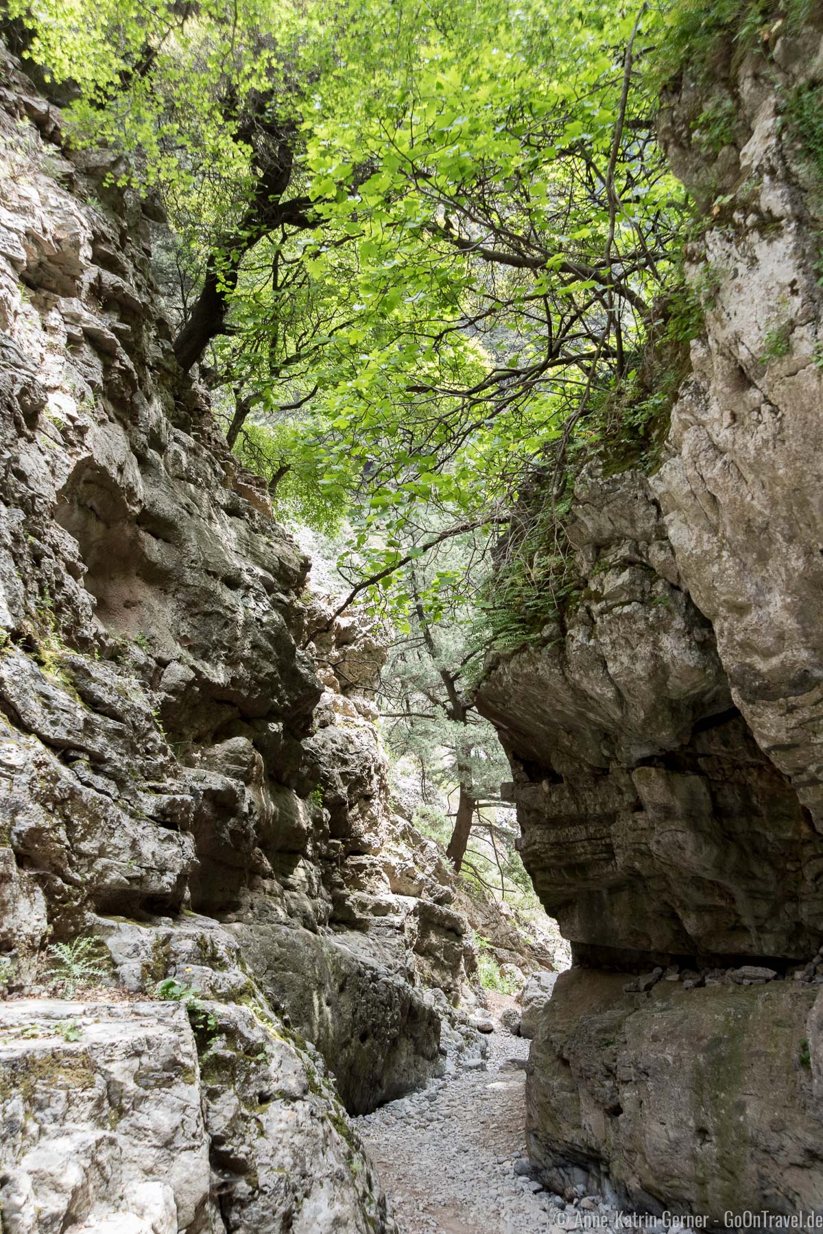 Die Imbros-Schlucht auf Kreta zählt zu den beliebtesten Tageswanderungen
