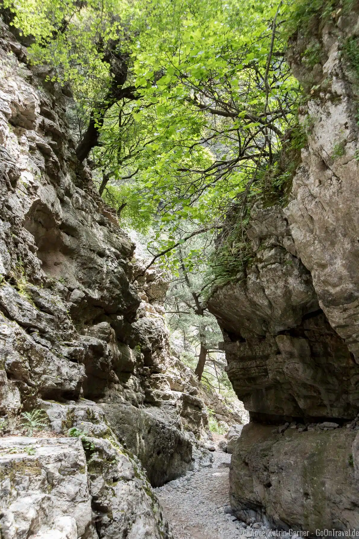 Die Imbros-Schlucht auf Kreta zählt zu den beliebtesten Tageswanderungen Die Imbros-Schlucht auf Kreta zählt zu den beliebtesten Tageswanderungen
