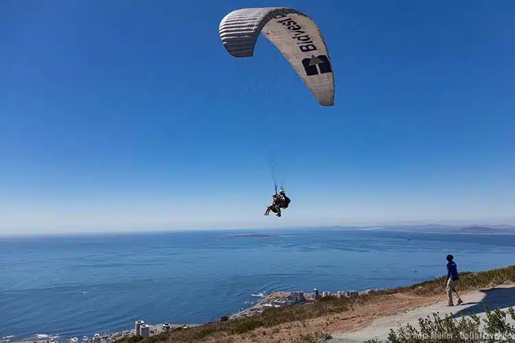 Paragliding vom Signal Hill aus Paragliding vom Signal Hill aus