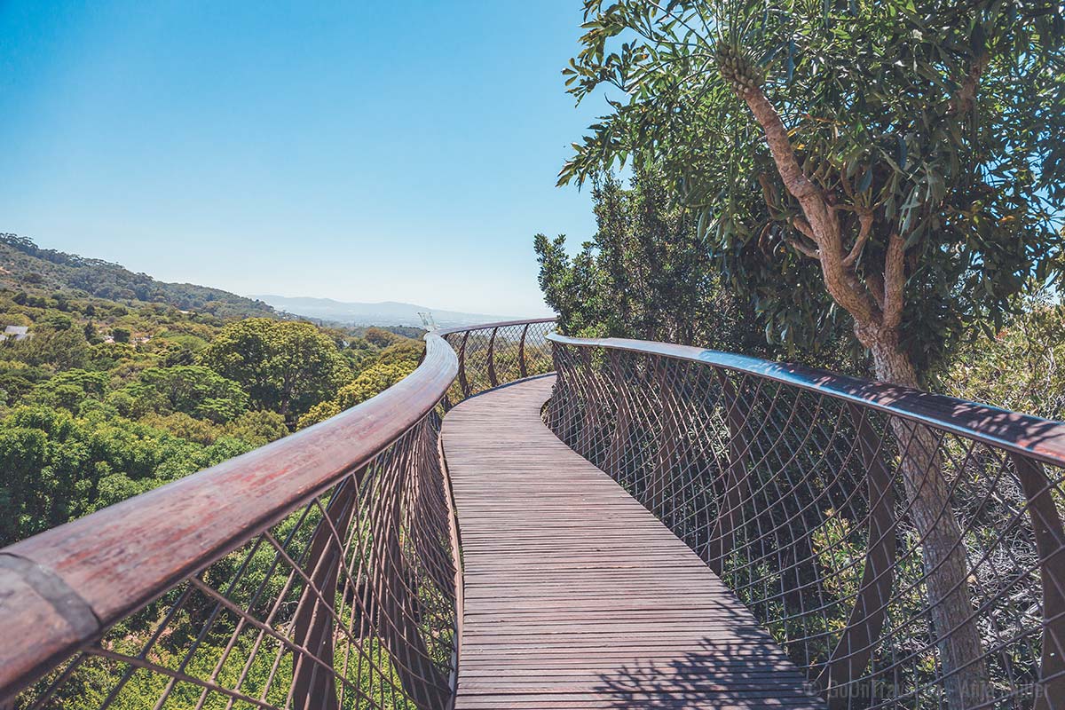 Im Botanischen Garten Kirstenbosch