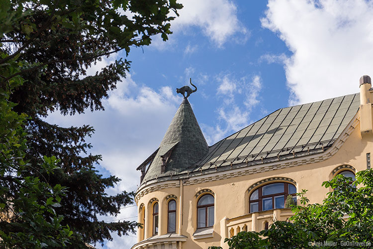 Das Katzenhaus in Riga