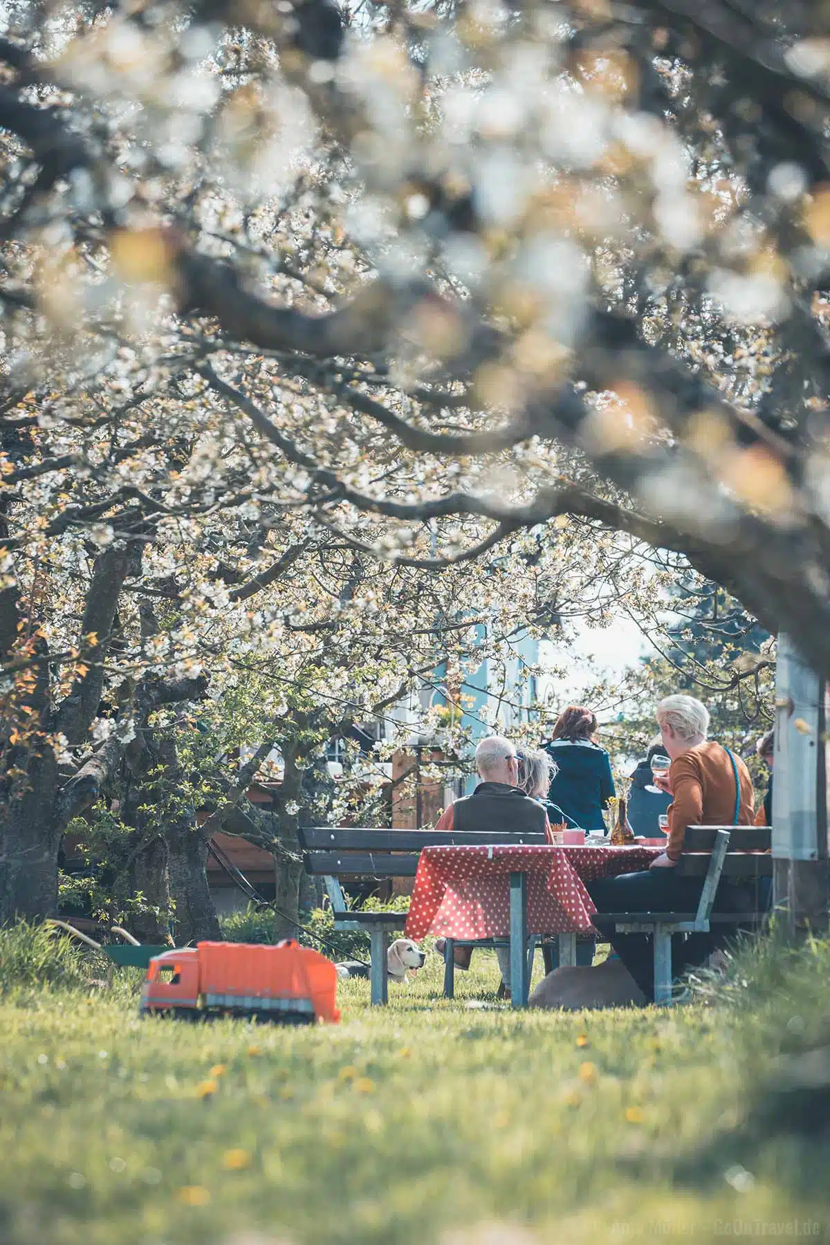 Im Kirschgarten Werder Im Kirschgarten Werder
