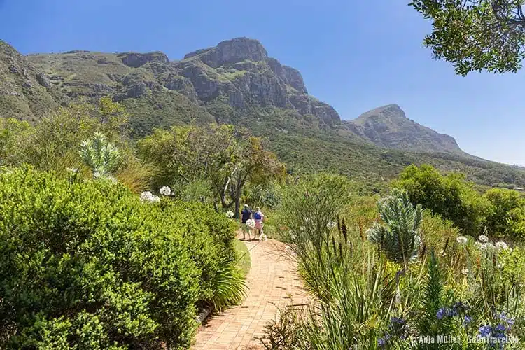 Im Botanischen Garten Kirstenbosch Im Botanischen Garten Kirstenbosch