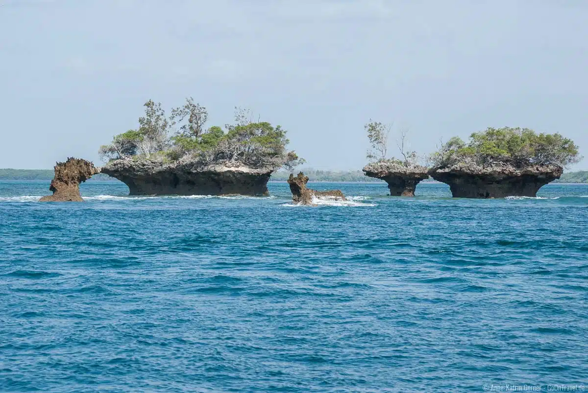 Der Kisite-Mpunguti Marine National Park ist ein Paradies für Taucher und Schnorchler Der Kisite-Mpunguti Marine National Park ist ein Paradies für Taucher und Schnorchler