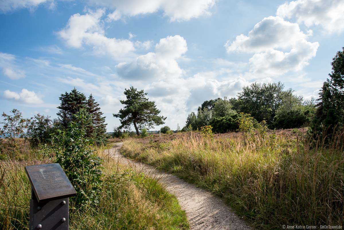 Kunstpfad durch die Heide in Kampen auf Sylt