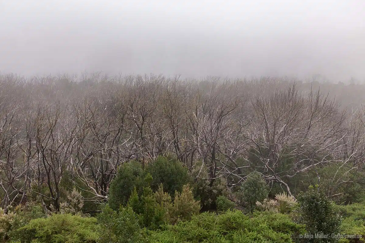 Aussichtspunkt bei Nebel Aussichtspunkt bei Nebel
