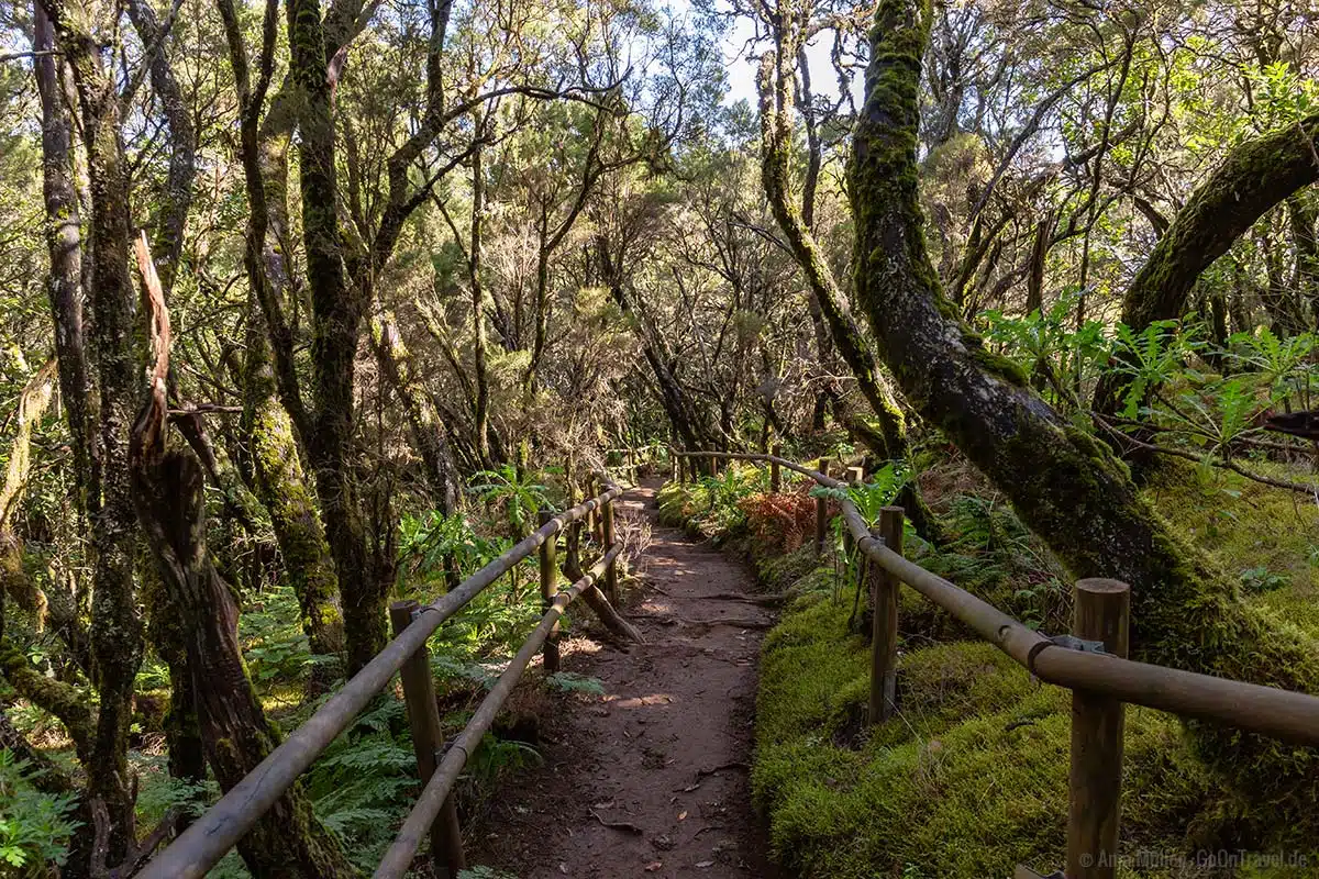 Wanderweg: El Contadero – Chorro de El Cedro auf La Gomera Wanderweg: El Contadero – Chorro de El Cedro auf La Gomera