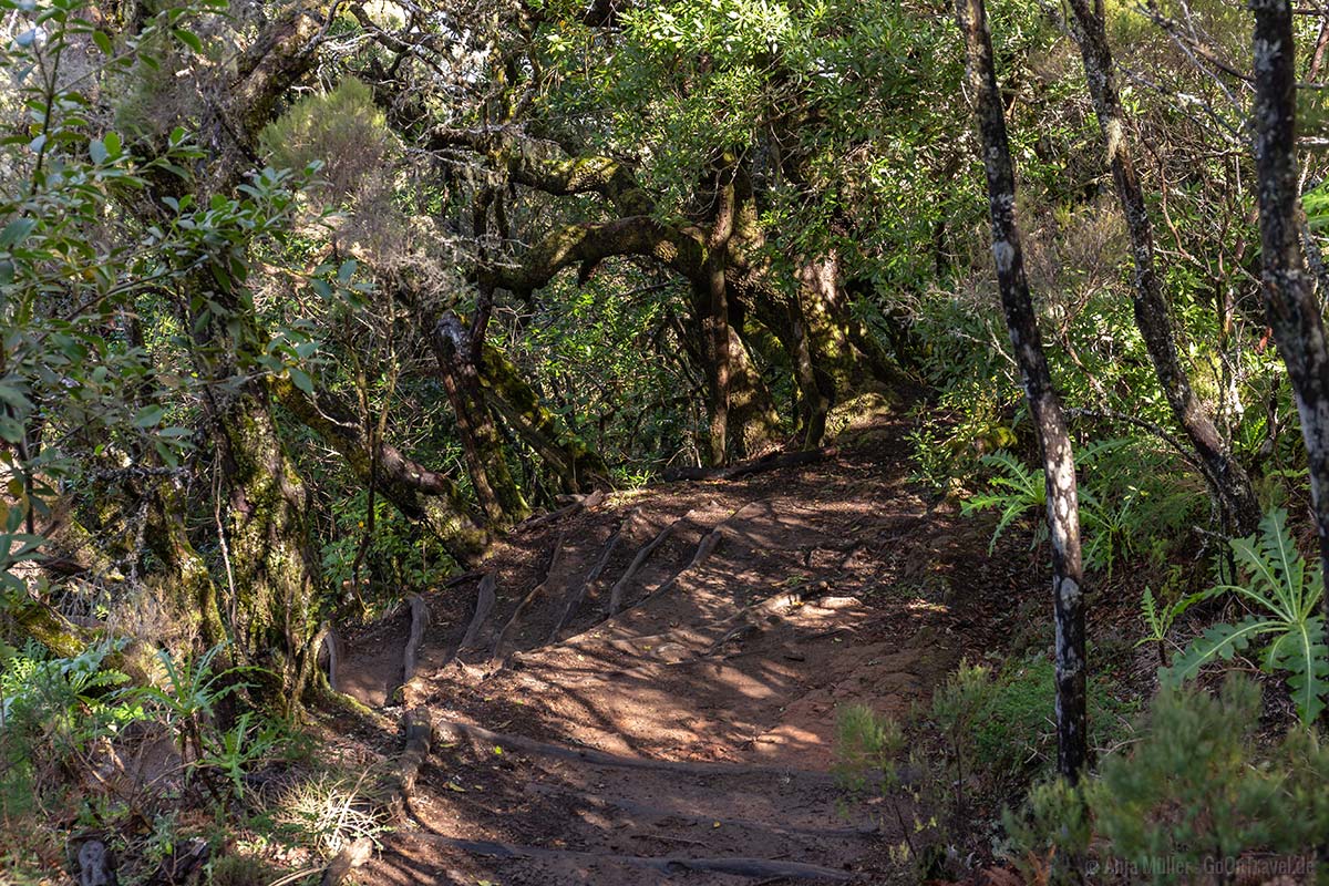 La Gomera Wanderweg