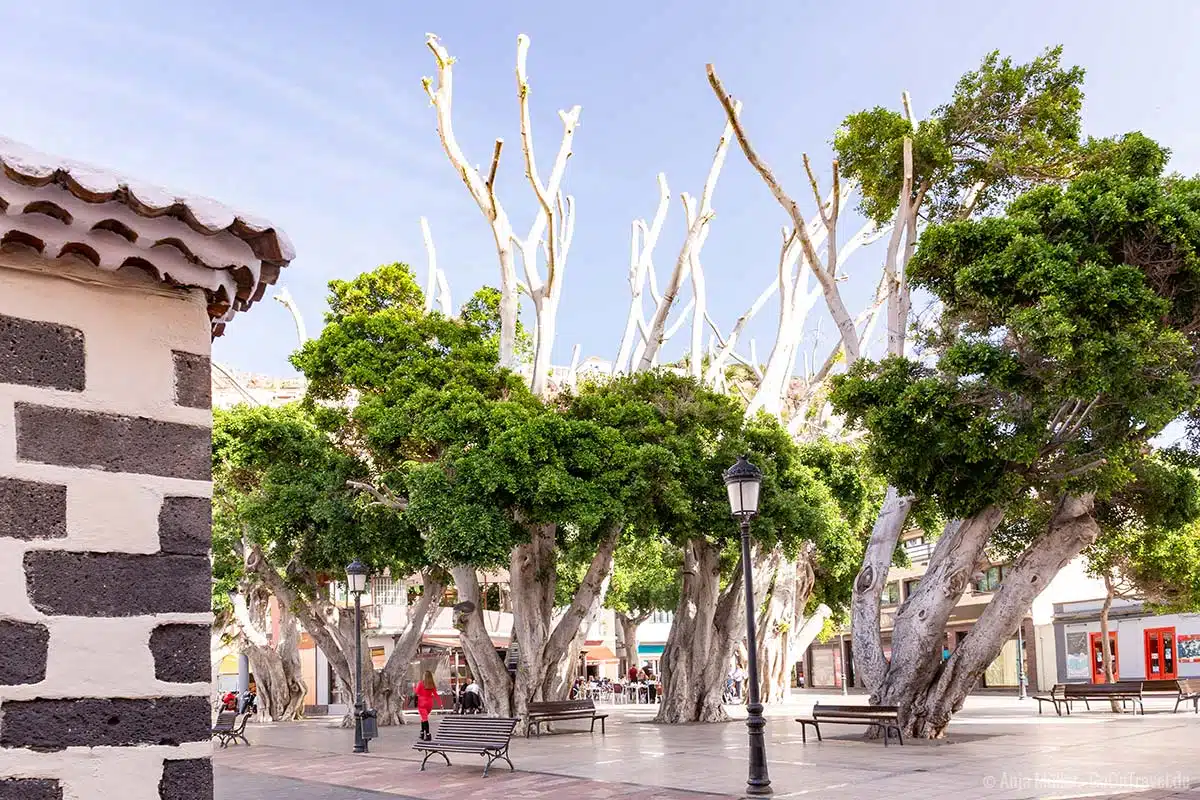 Der Plaza de las Americas Der Plaza de las Americas