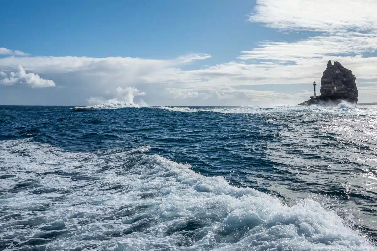 Die Wellen haben es in sich bei der Fährüberfahrt Die Wellen haben es in sich bei der Fährüberfahrt