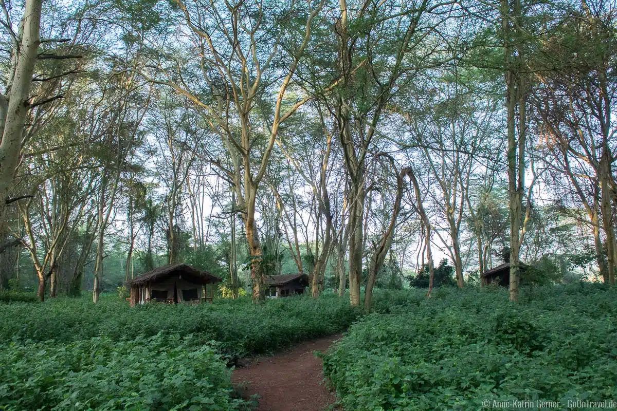 Migunga Tented Camp in Tansania