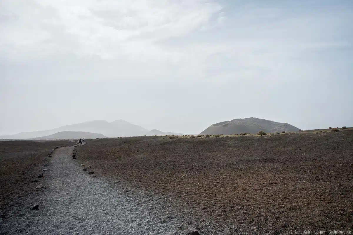 Auf den Vulkan-Wanderwegen gibt es keine schattenspendenen Bäume Auf den Vulkan-Wanderwegen gibt es keine schattenspendenen Bäume